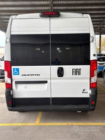 Fiat Ducato L2H2 180 CV trasporto disabili - Km 0