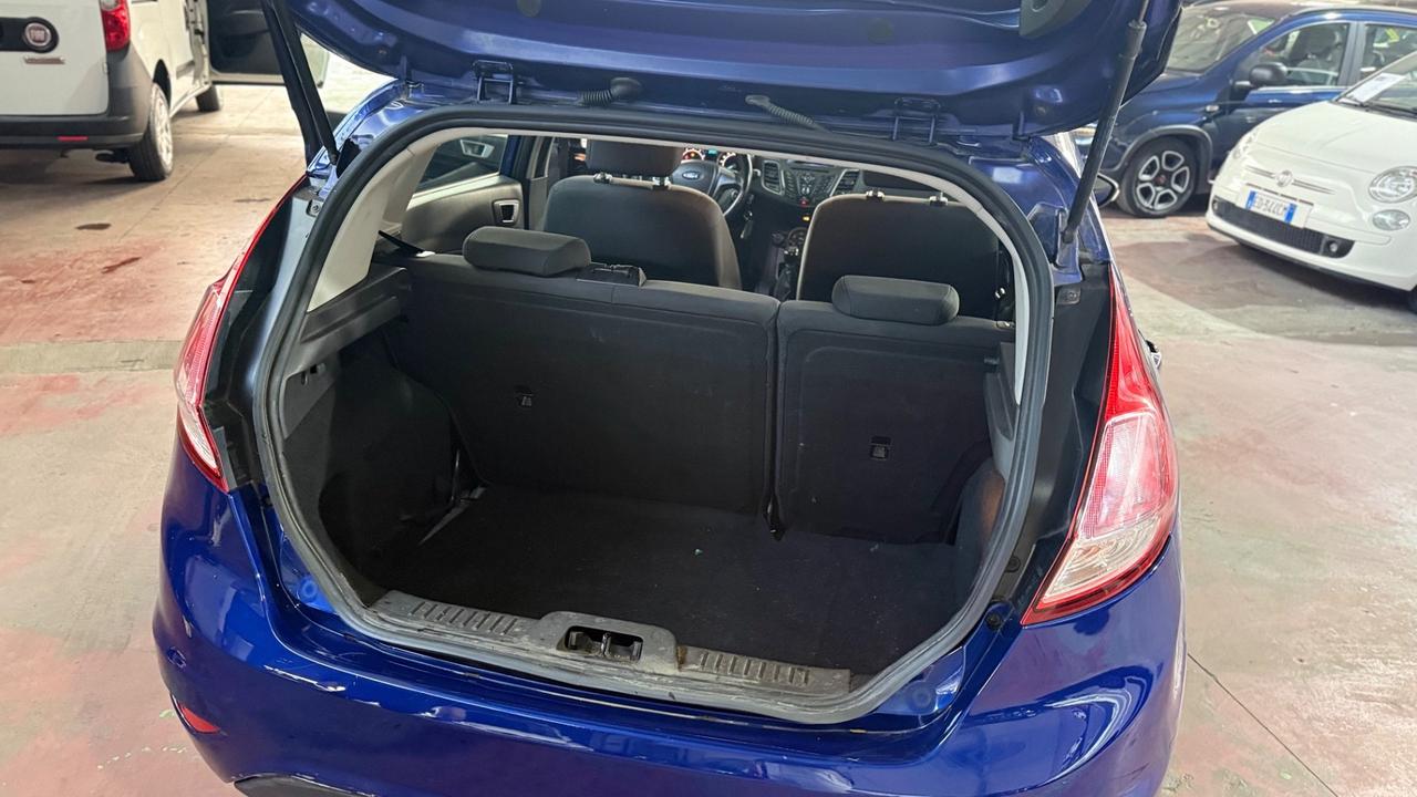 Ford Fiesta 1.4 5 porte Bz.- GPL Black & White Edition