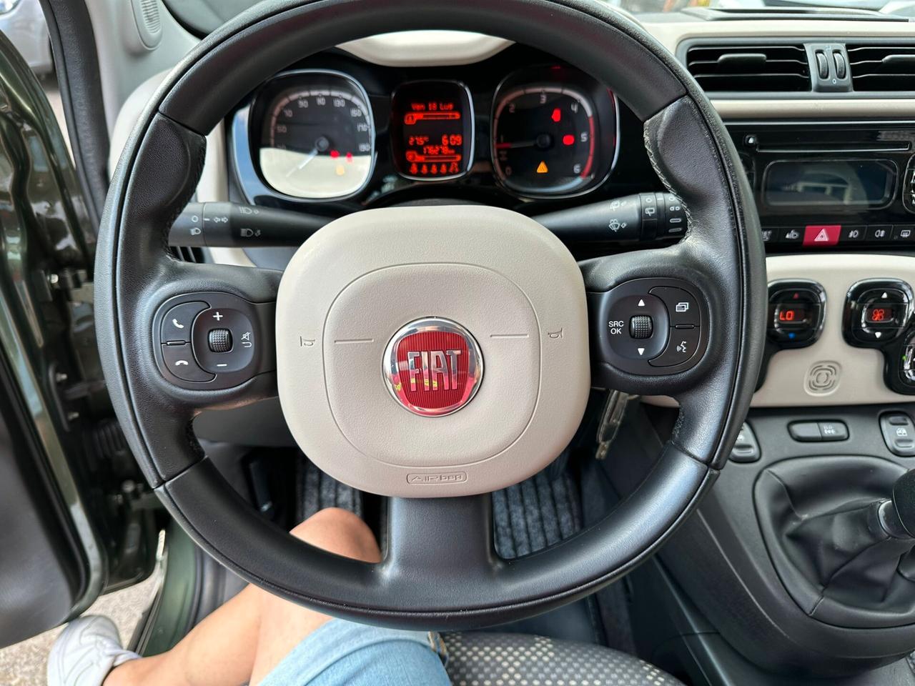 Fiat Panda 1.3 MJT S&S 4x4 Antartica