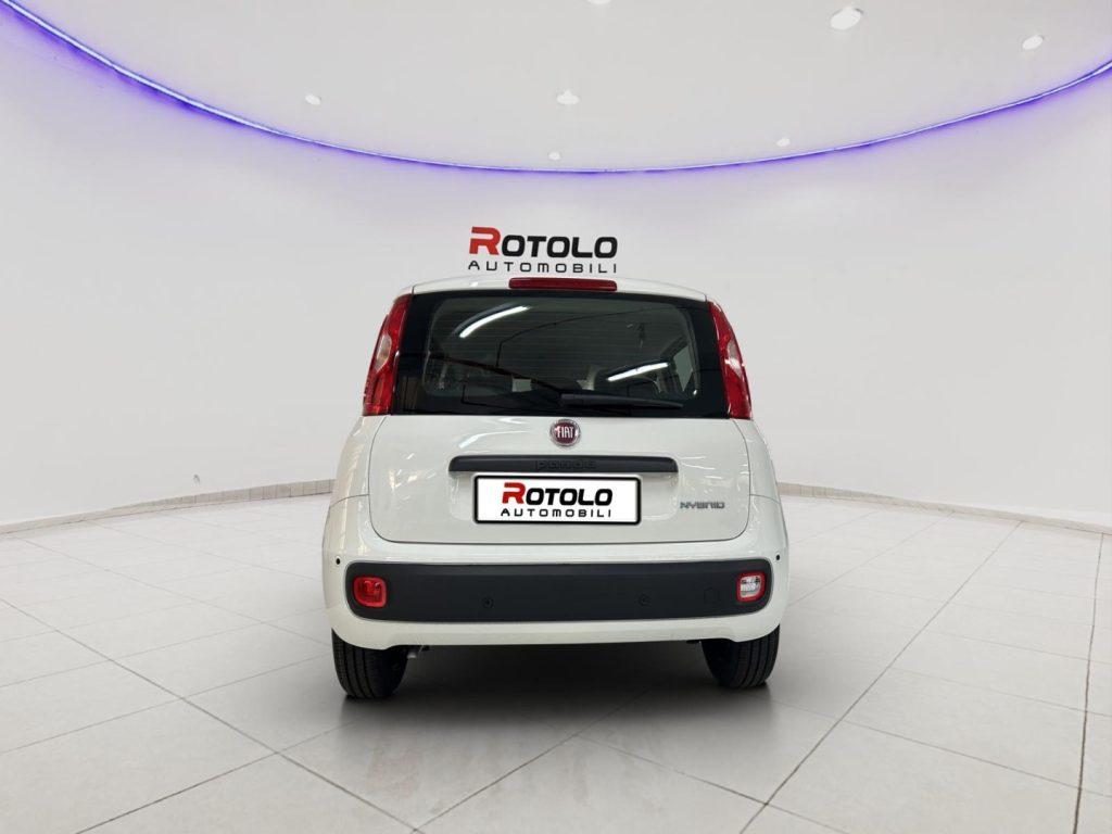 FIAT Panda 3ª serie Panda 1.0 FireFly S&S Hybr...