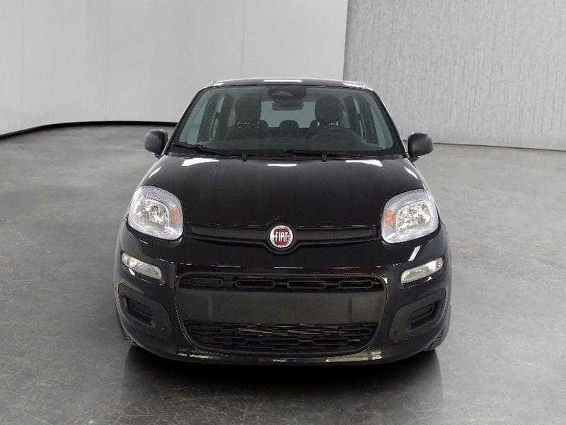 FIAT Pandina 1.0 firefly hybrid Icon s&s 70cv 5p.ti