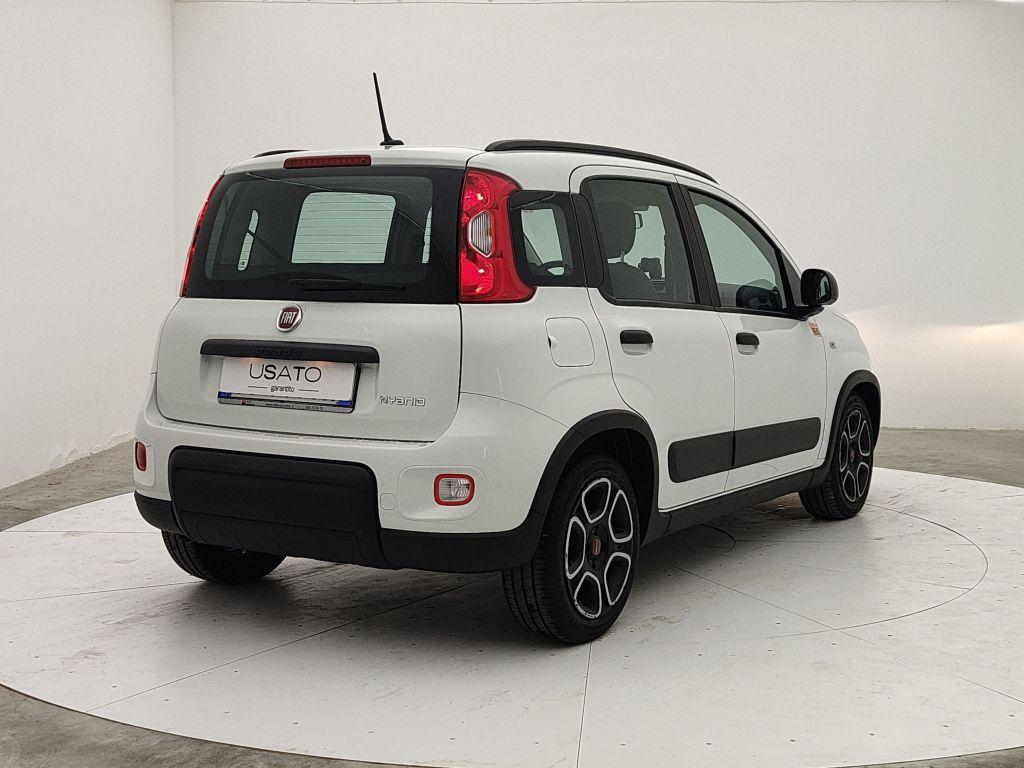 FIAT Panda 3ª serie - Panda 1.0 FireFly S&S Hybrid City Life