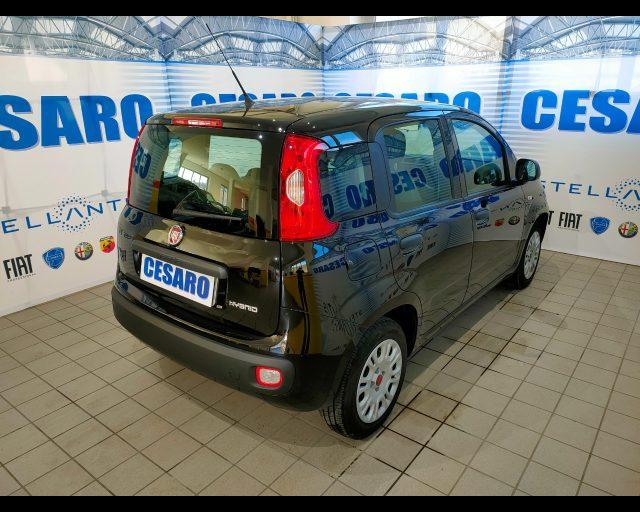 FIAT New Panda 1.0 firefly hybrid 70cv 5 posti