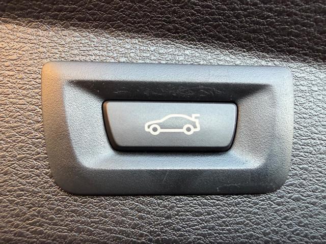 BMW X2 sDrive20i Advantage (NESSUN VINCOLO)