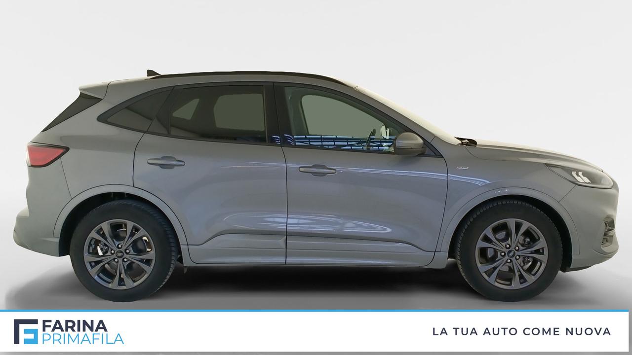 FORD Kuga III 2020 - Kuga 1.5 ecoblue ST-Line Design 2wd 120cv
