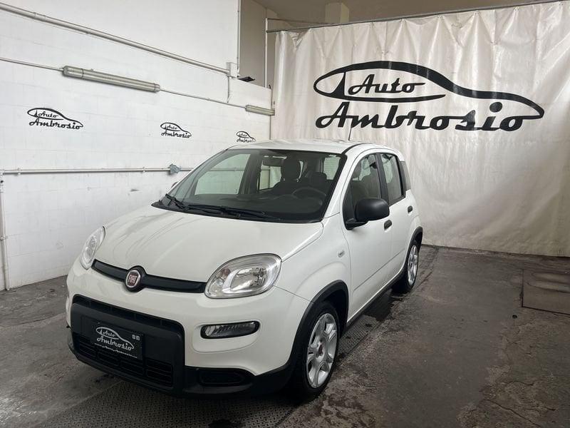 FIAT Panda Panda 1.0 firefly hybrid s&s 70cv