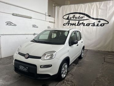 FIAT Panda Panda 1.0 firefly hybrid s&s 70cv