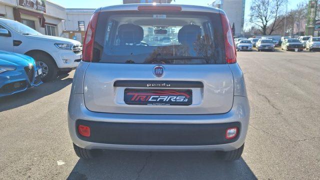 FIAT Panda 1.2 EasyPower Easy PERMUTE UNICOPRO. OK NEOPAT.