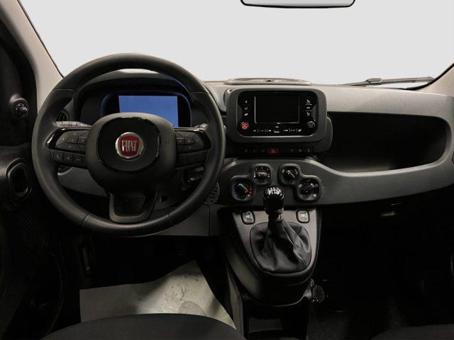 FIAT Panda Pandina 1.0 FireFly 65 CV Hybrid Icon