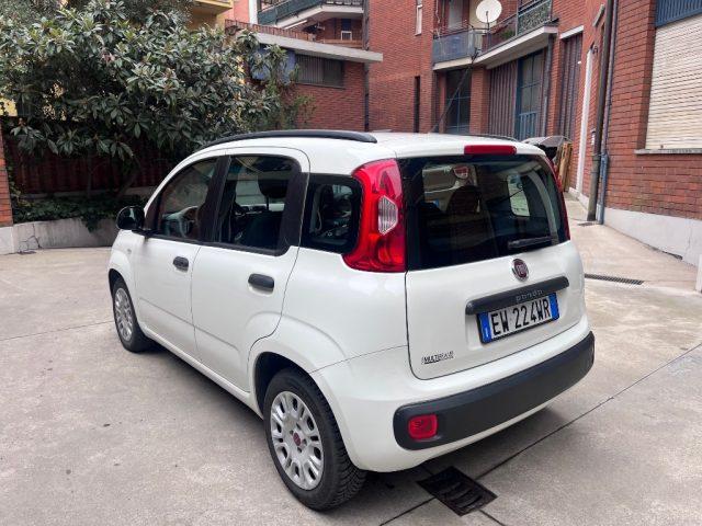 FIAT Panda 1.2 Easy euro 6 benzina distribuzione eseguita
