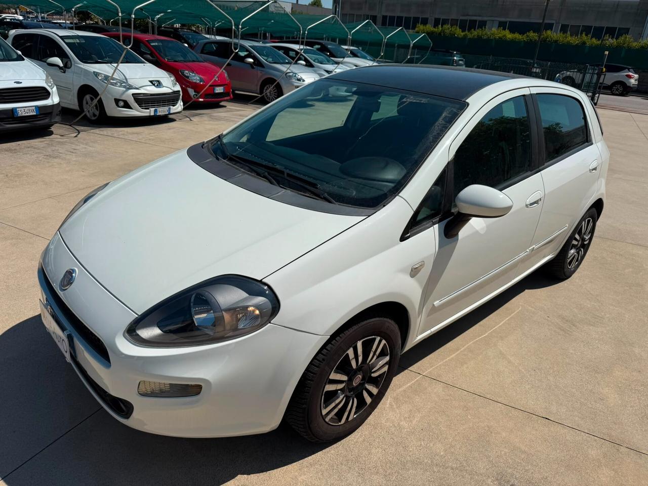 Fiat Punto 5p 1.2TAGLIANDATA unico-proprietario