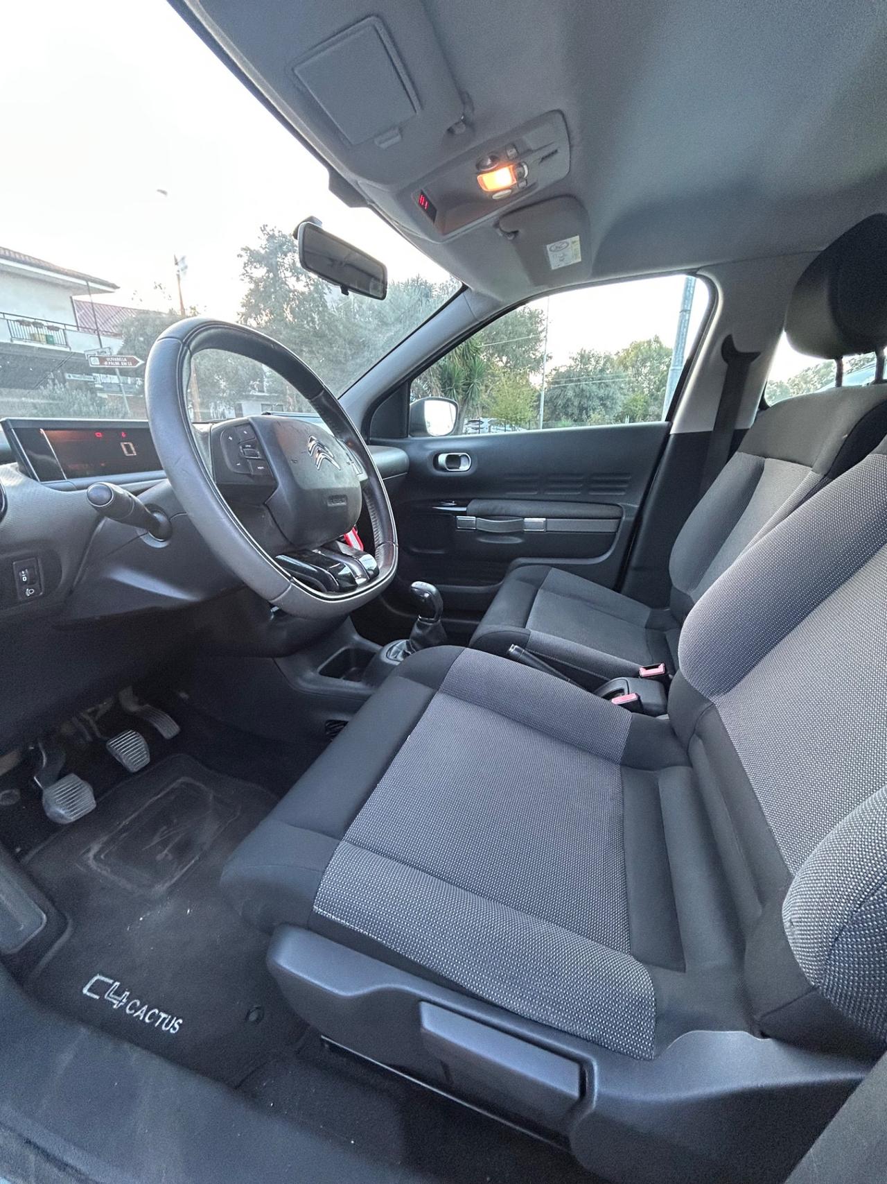 Citroen C4 Cactus BlueHDi 100 Shine