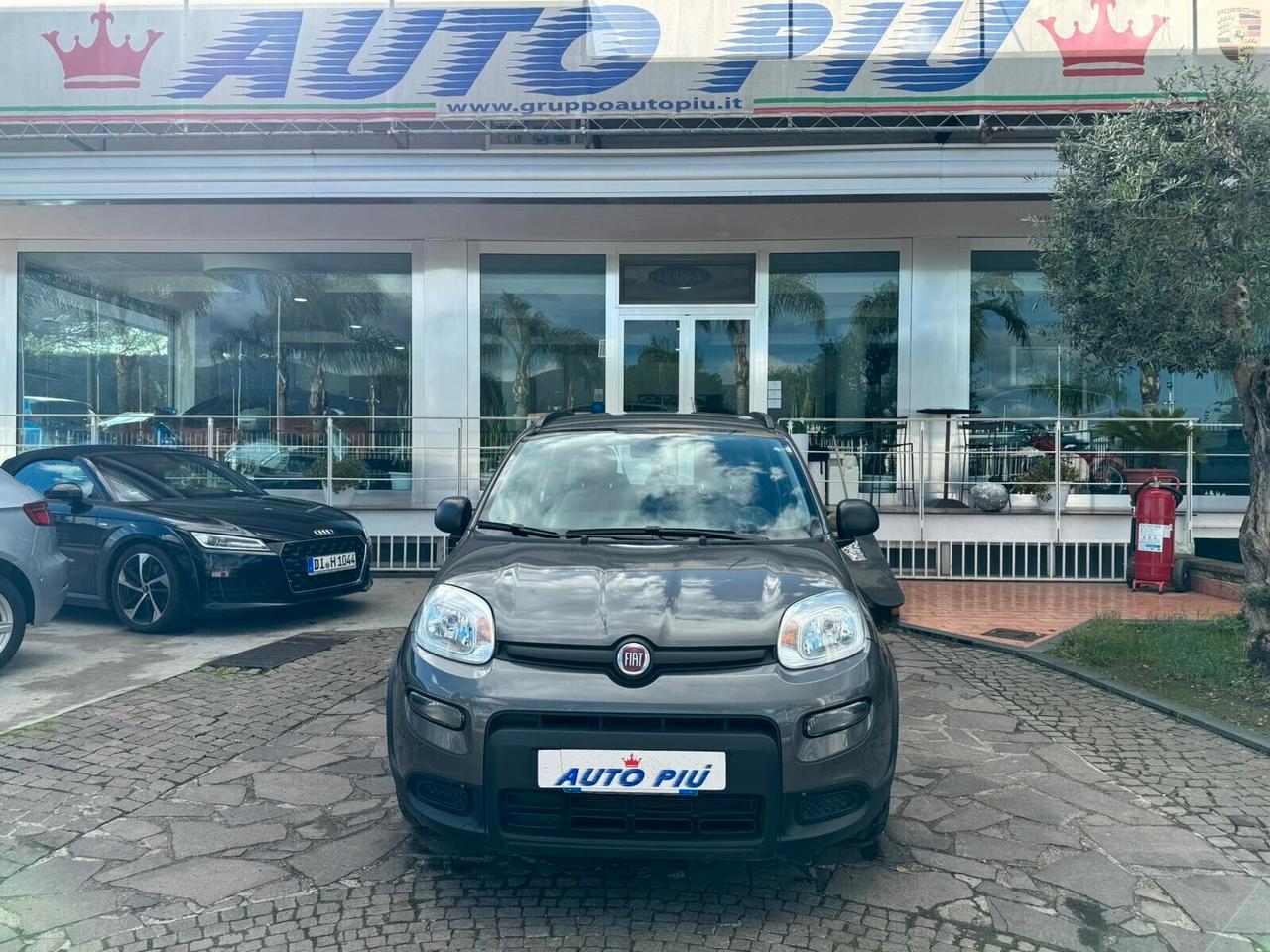 Fiat Panda 1.0 FireFly S&S Hybrid