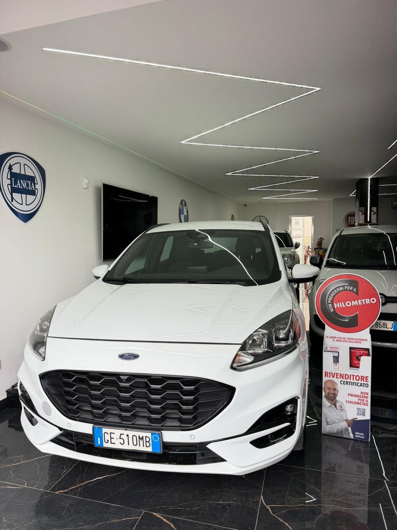 Ford Kuga 2.0 EcoBlue 190 CV aut. AWD ST-Line
