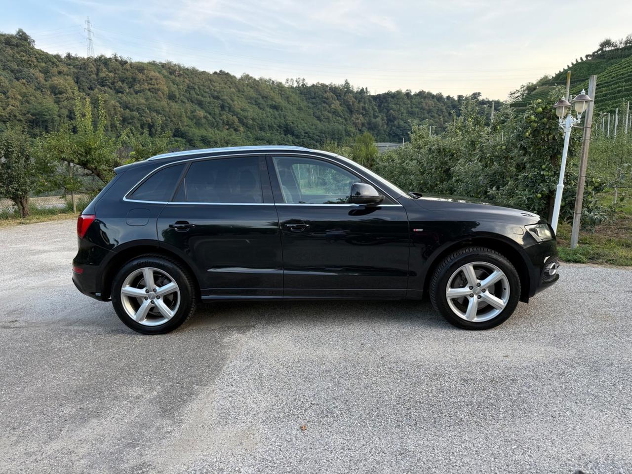 Audi Q5 3.0 V6 TDI quattro S tronic Advanced Plus