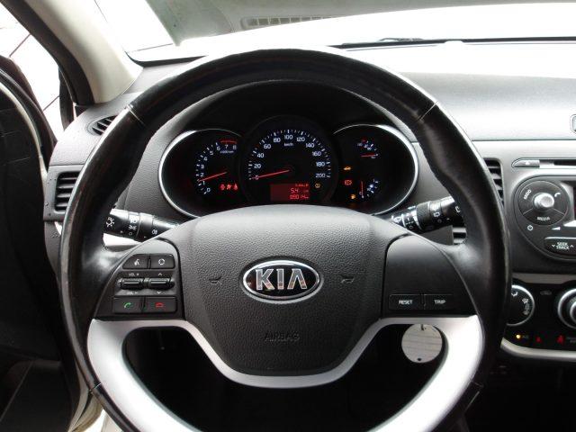 KIA Picanto 1.0 12V 5 porte Cool NEOPATENTATI