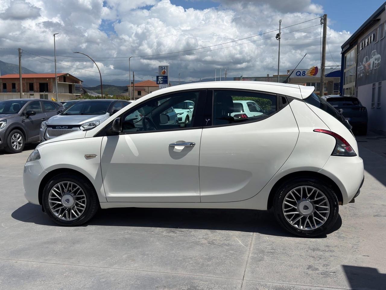 Lancia Ypsilon 1.3 MJT 16V 95 CV 5 porte S&S Platinum