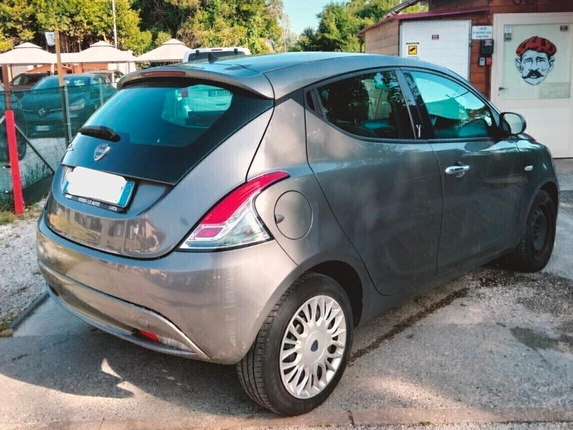 Lancia Ypsilon 1.2 Gold >2019 NEOPATENTATI