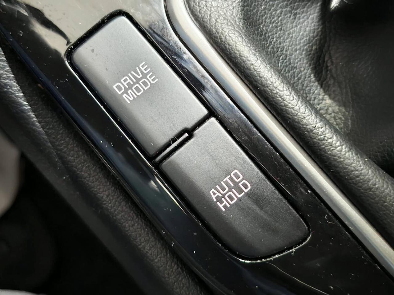 Kia Sportage 1.6 CRDi MHEV 163cv Business 2022