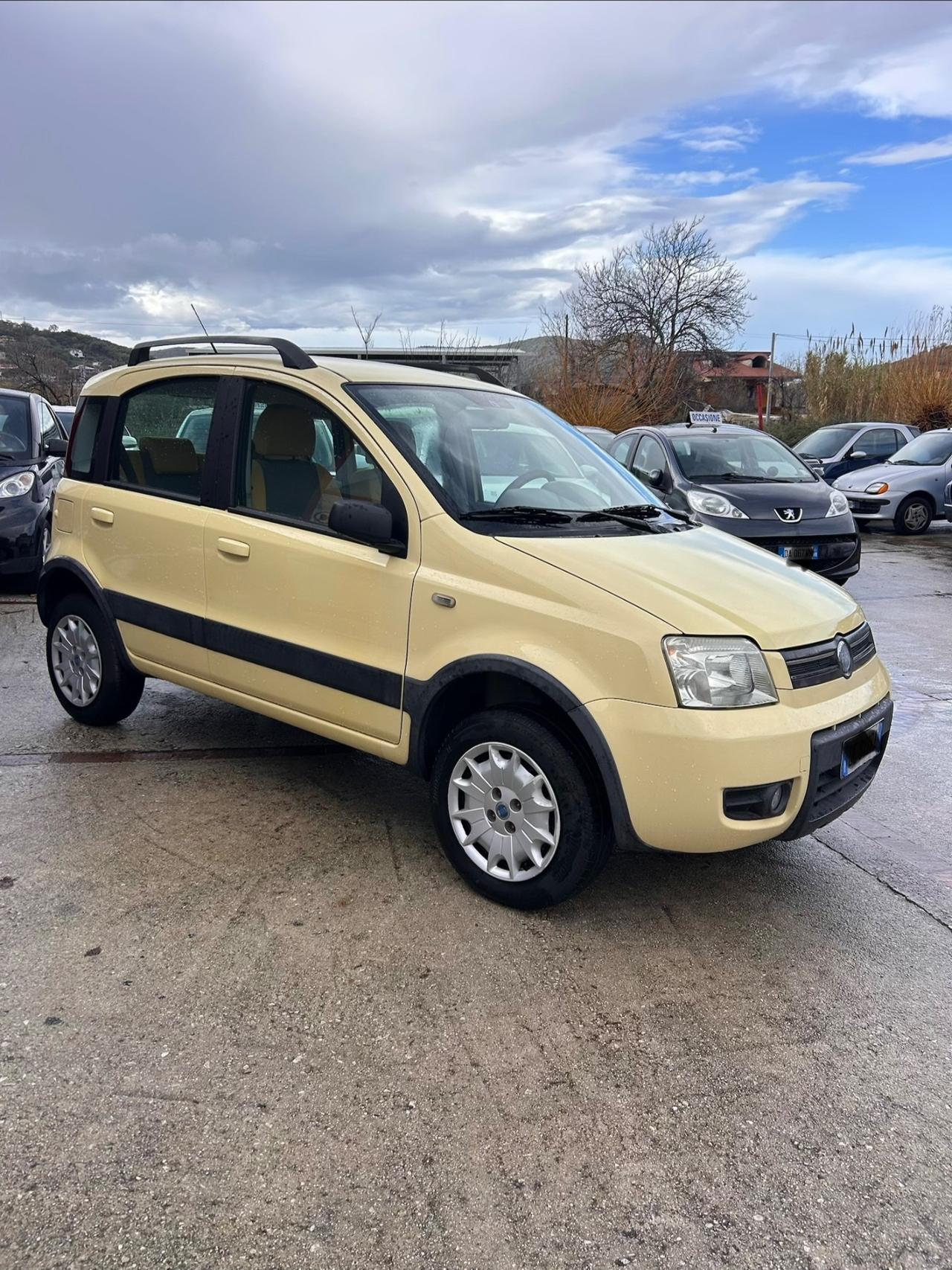 Fiat Panda 1.2 4x4 Dynamic
