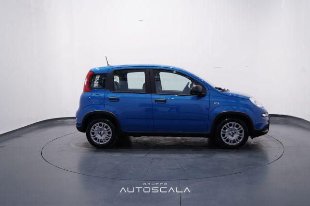 FIAT New Panda My25 1.0 FireFly S&S Hybrid #Pack City #5posto