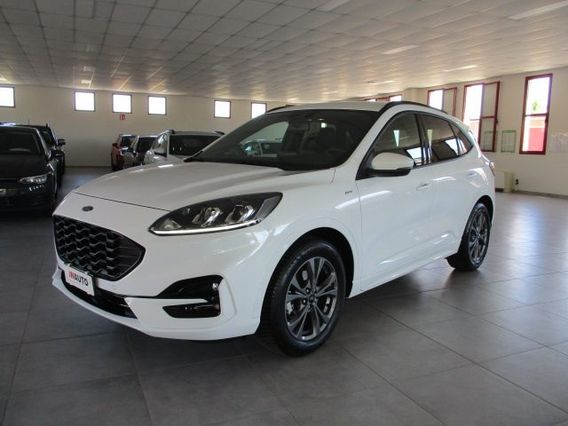 FORD Kuga 1.5 EcoBlue 120 CV aut. 2WD ST-Line