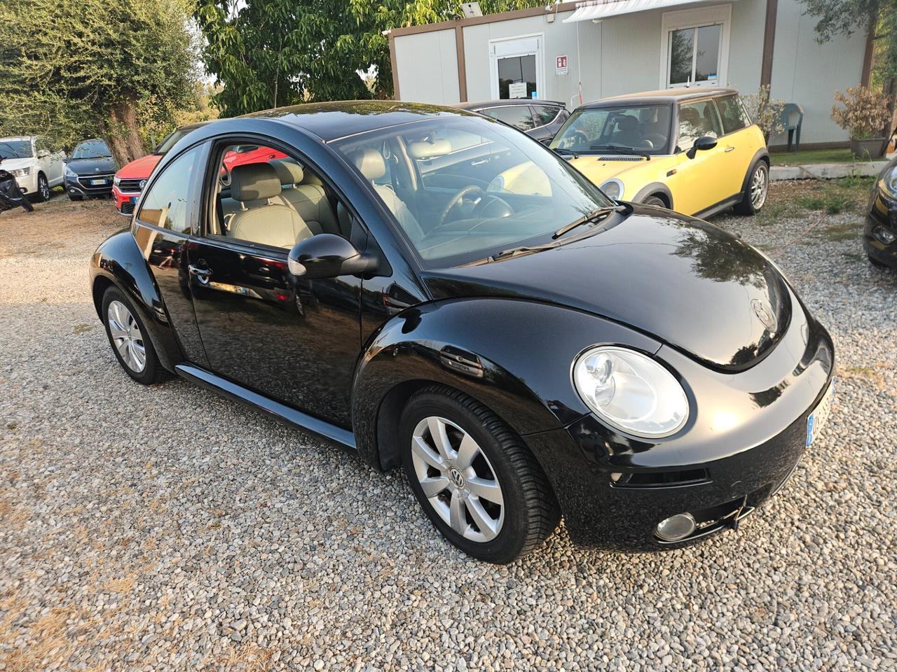 Volkswagen New Beetle 1.9 TDI 105CV
