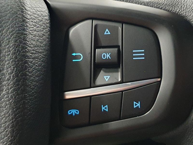 Ford Ranger 2.0 ECOBLUE aut. 205 CV DC Wildtrak 5 posti
