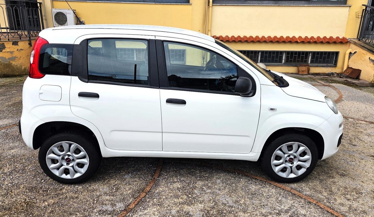 Fiat Panda TwinAir Natural Power Lounge GARANZIA