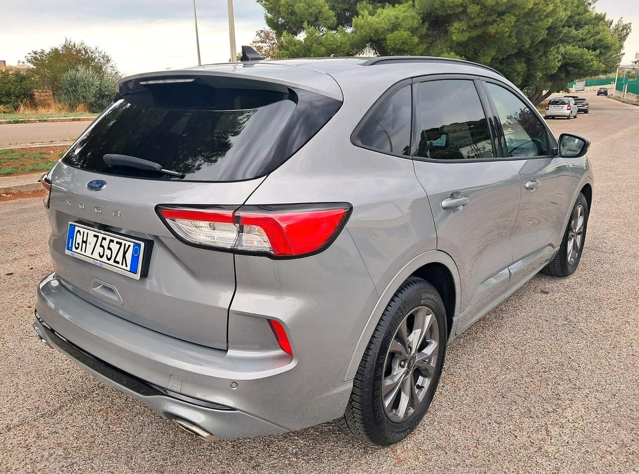 Ford Kuga 1.5 EcoBlue 120 CV 2WD ST-Line (Iva esposta)