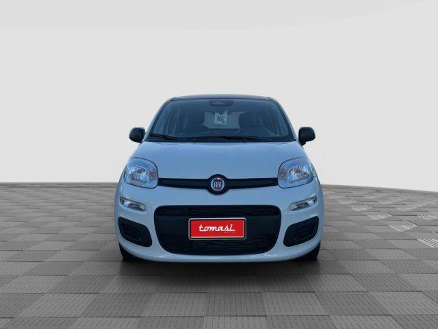 FIAT Panda Pandina 1.0 FireFly 65 CV Hybrid Icon