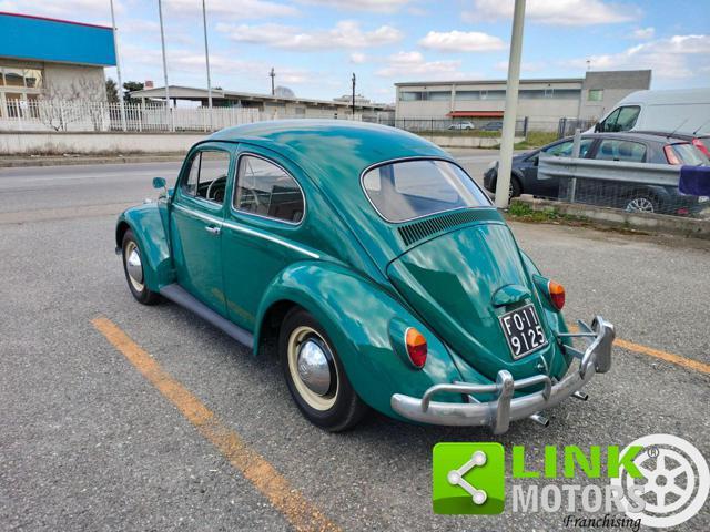 VOLKSWAGEN Maggiolino 6 VOLT