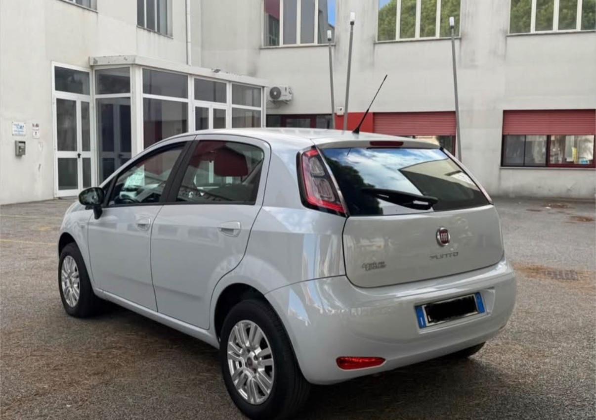 Fiat Punto 1.4 8V 5 porte Natural Power Lounge