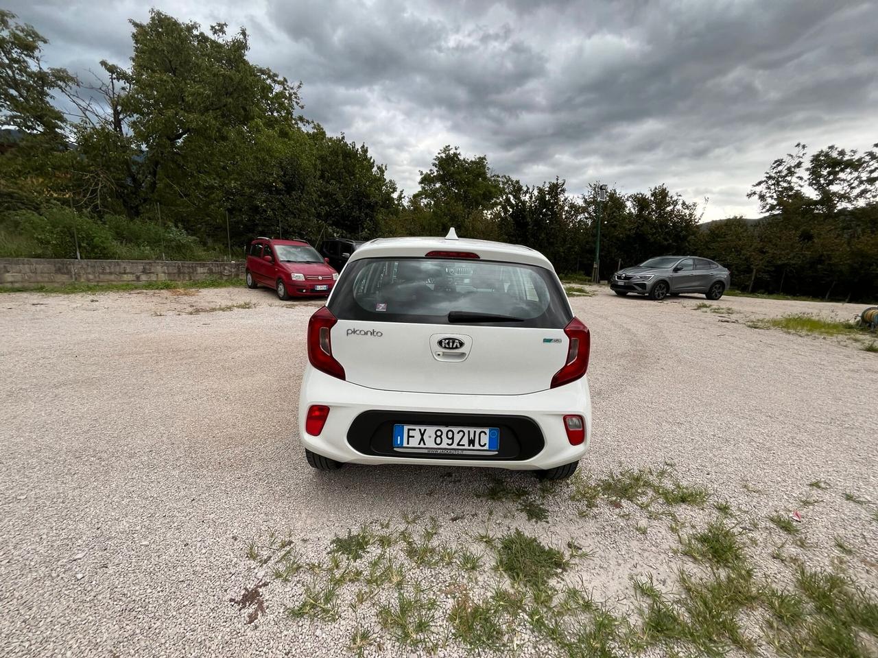 Kia Picanto 1.0 12V EcoGPL 5 porte Cool