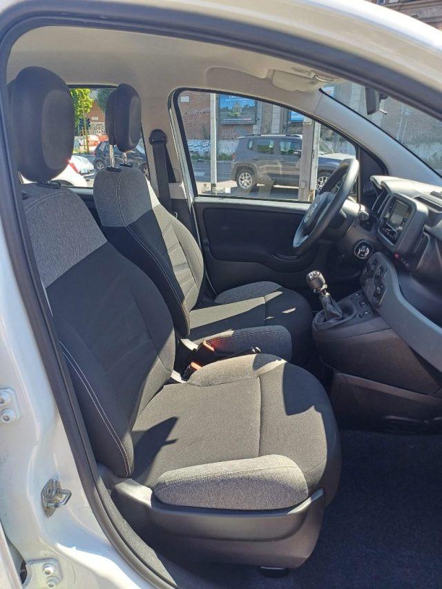 FIAT New Panda 1000 HYBRID CITY LIFE 70CV BIANCO ITALIA