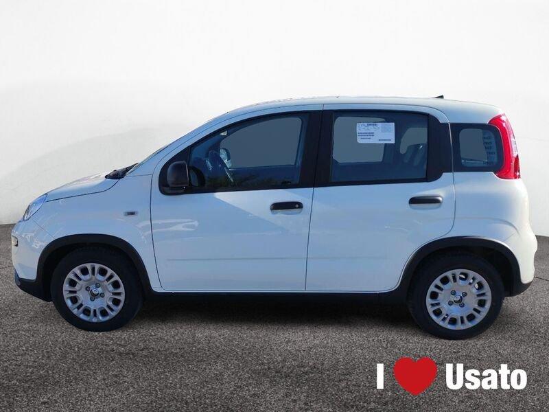 FIAT Panda New Serie 7 1.0 70cv HybridPanda
