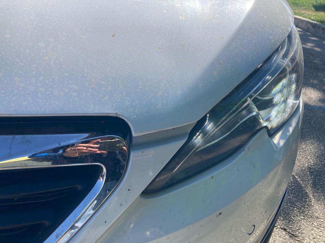 Peugeot 308 1.6 blue HDI 120 #10497