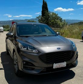 Ford Kuga 1.5 EcoBlue 120 CV 2WD ST-Line