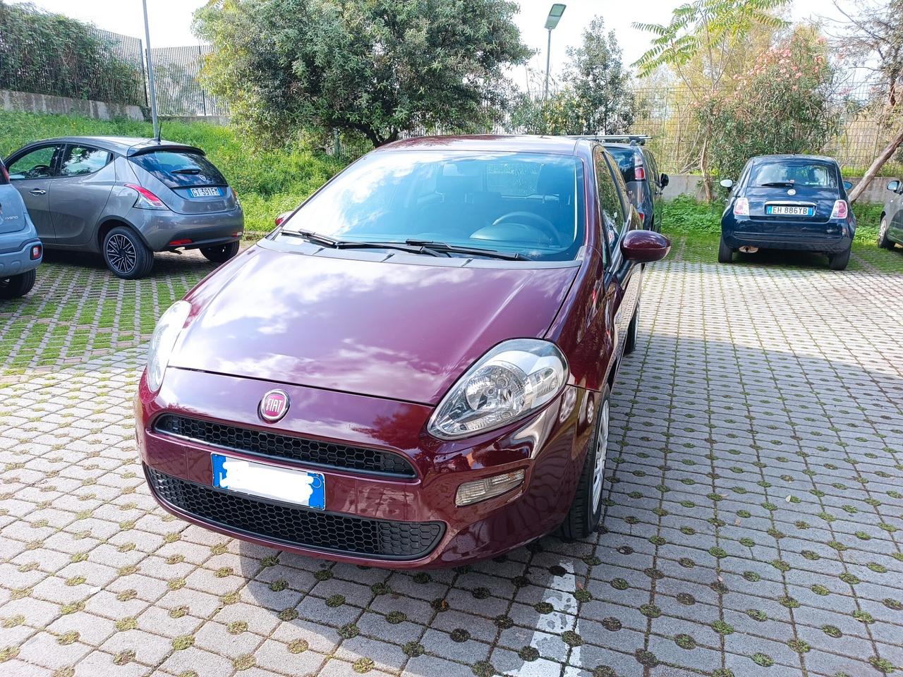 Fiat Punto 1.2 8V 3 porte Street