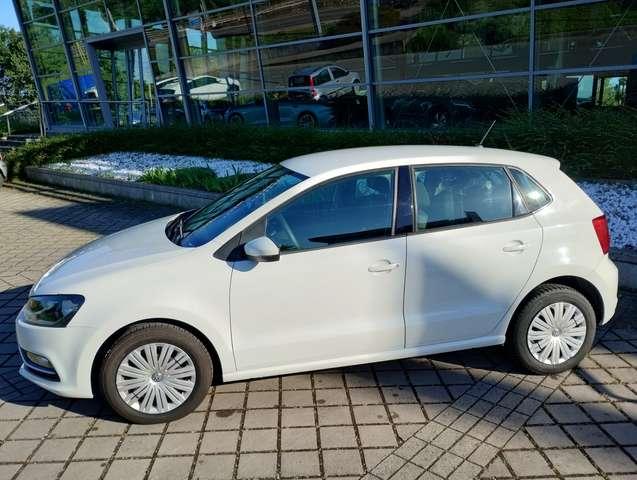Volkswagen Polo Polo 5p 1.4 tdi 75cv