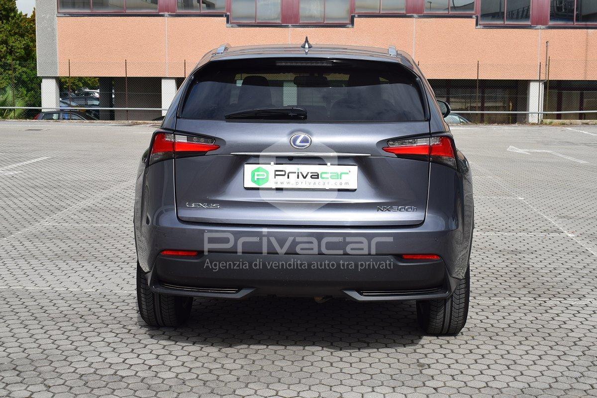 LEXUS NX Hybrid 4WD Luxury