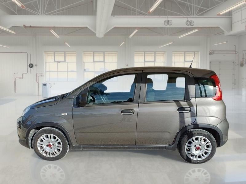 FIAT PANDA 1.0 FIREFLY 70 CV SES HYBRID 5 PORTE BERLINA