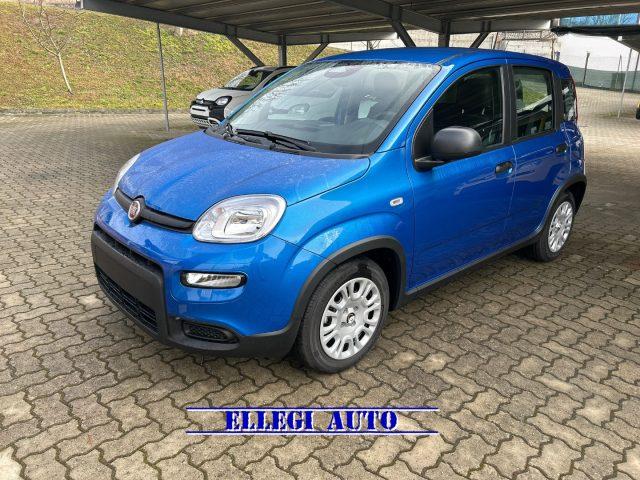 FIAT Panda PROMO FINANZ.PANDINA 1.0 Hybrid KM 0