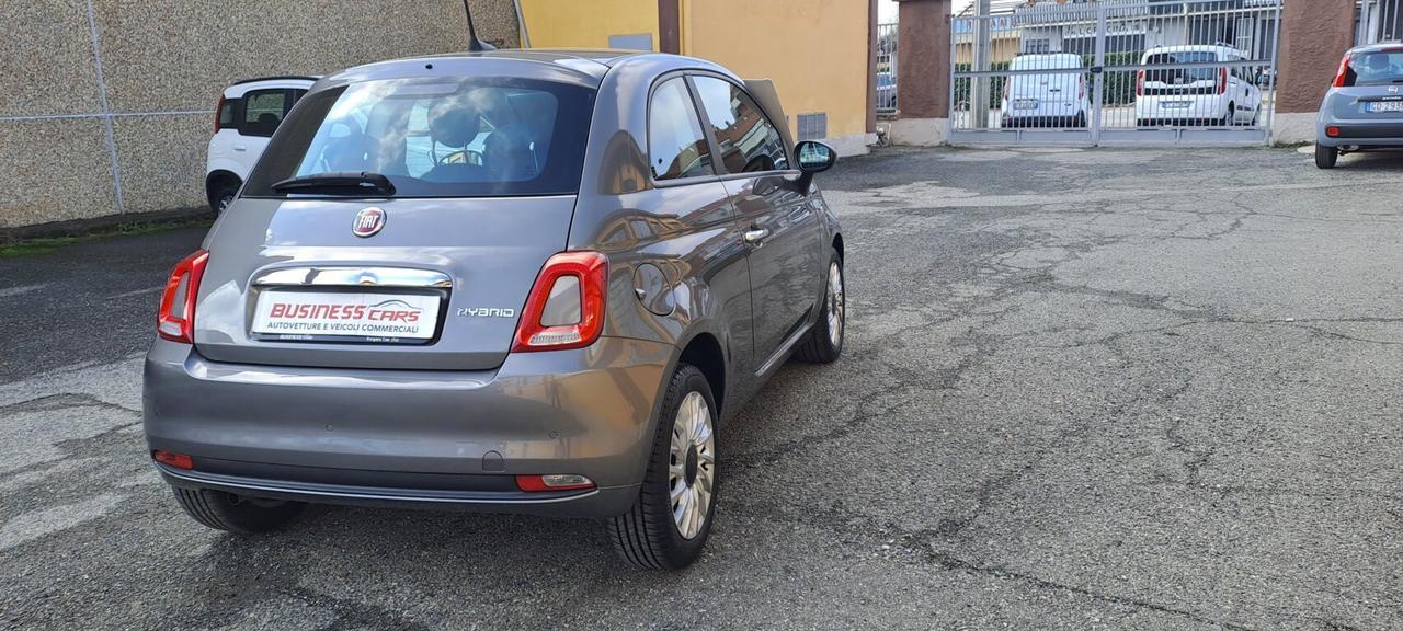 Fiat 500 1.0 70 Hybrid Cult KM. 17.000 CERTIFICATI - UNICO PROPRIETARIO - AUTO PER NEOPATENTATI!