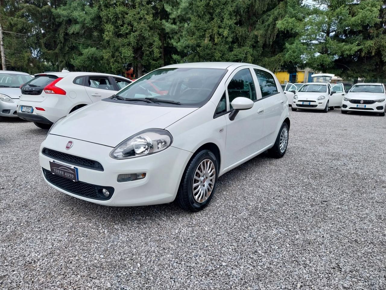 Fiat Punto 1.3 MJT 95CV S&S 5 porte N1 4 POSTI