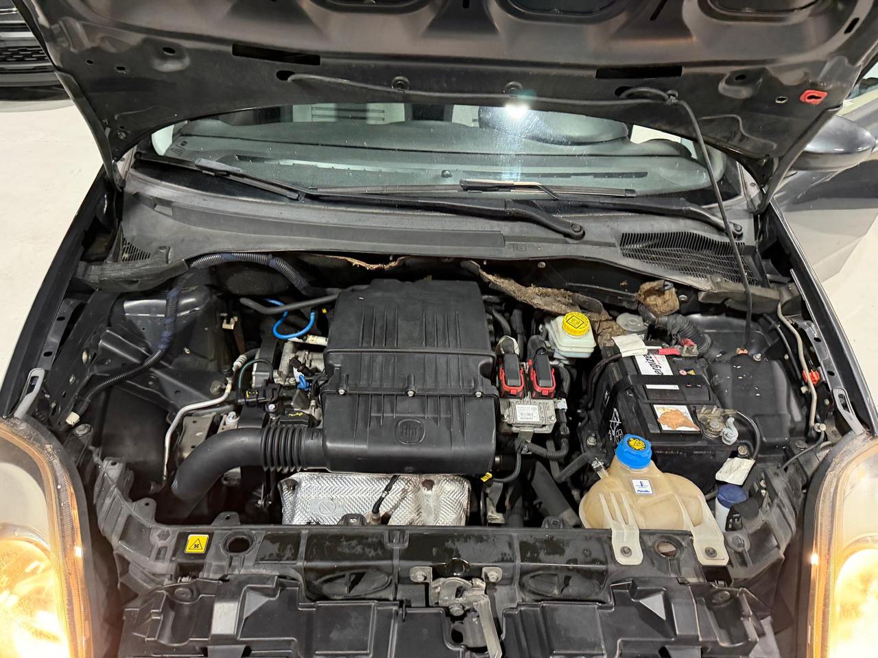 Fiat Punto Evo 5p 1.2 Active 65cv Benzina 5 posti