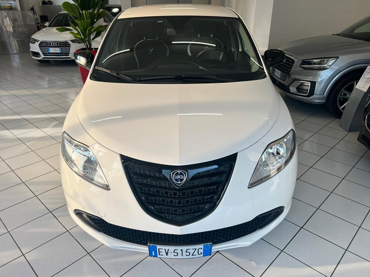 Lancia Ypsilon 1.3 MJT 16V 95 CV 5 porte S&S Platinum