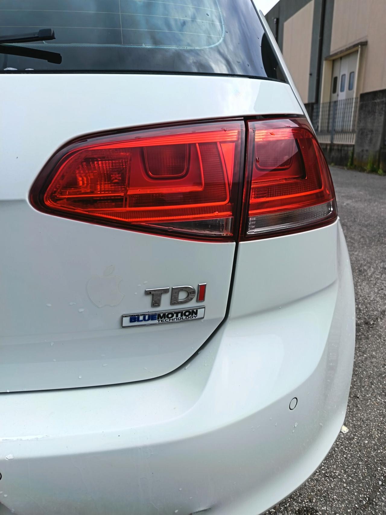 Volkswagen Golf 1.6 TDI 110 CV 5p. Highline BlueMotion Technology