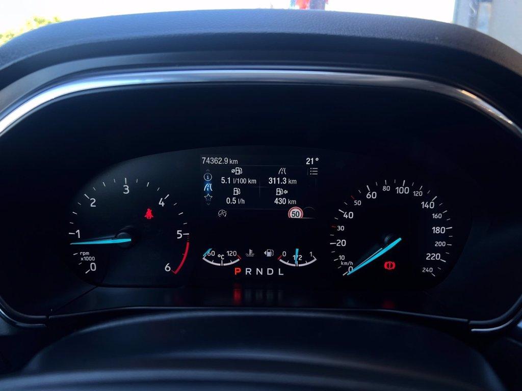FORD Focus 1.5 EcoBlue 115 CV automatico 5p. Active del 2023