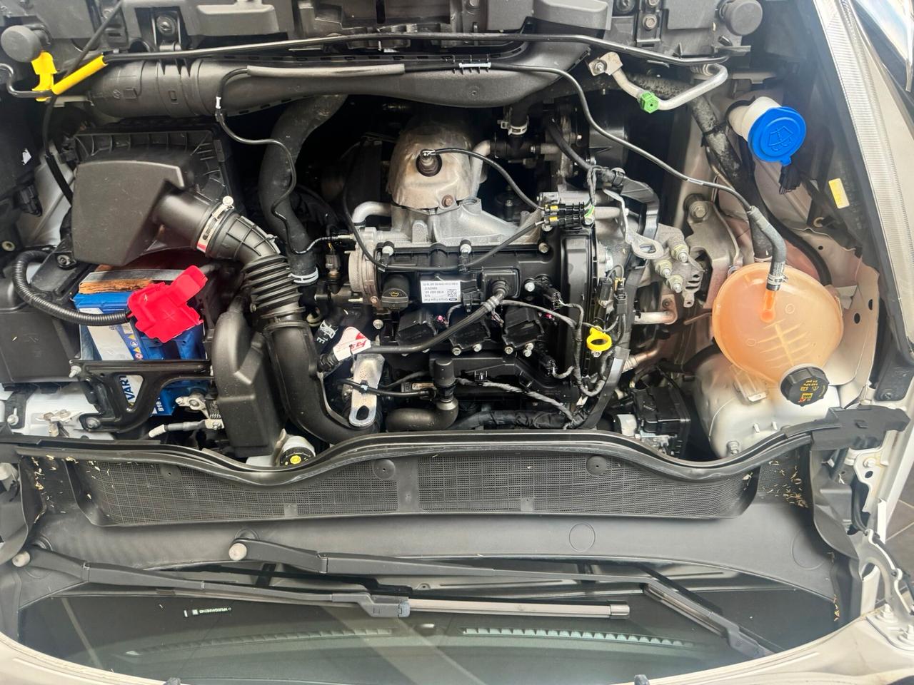 Ford Fiesta 1.1 5 porte Plus